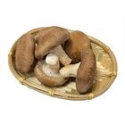 優境生鮮履歷香菇(J) 150g @22#4713331922182