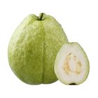 Traceable Yanchao Guava - PDC 600g/Bag @22#2422172015015