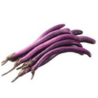 Eggplant 400g @22#4719853588363