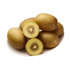 Zespri SunGold Kiwi #52 102g
