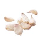履歷蒜瓣 200g #66489