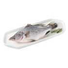 金目鱸魚 約 350g