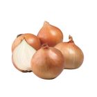 紐西蘭洋蔥(袋) 1kg @22#4711281492649