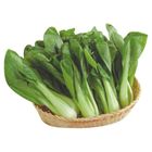 青江菜(產銷履歷) 約 250g