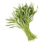 有機空心菜 每袋約 250g±10% @22#4717546220415