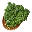 有機羽衣甘藍 120g @22#4711182149307