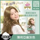 莉婕泡沫染髮劑 薄荷亞麻灰色 1 入 #4710363709361