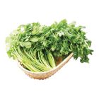 有機香菜/袋-PDC 30g @22#2422031210018