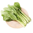 履歷油菜 每袋約 250g @22#4719853582644