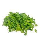 香菜-常溫 300-400g