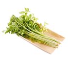 履歷芹菜 250±10%g @22#4719853588370