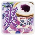 LOTTE Sou Ice Cream - Blueberry Yogurt Flavor 162g