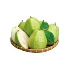 溪州珍珠芭樂-PDC 600g 1 盒 @22#2422172108014