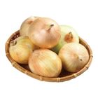 履歷洋蔥 600g/袋 @22#4718037161026