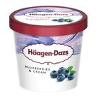 Haagen-dazs Blueberry Ice Cream Mini Cup 81g #3415581370195