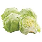 美國結球萵苣-粒(350g) 1 粒 @22#0723525400000