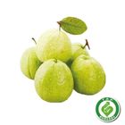 履歷芭樂 約 1.2kg @22#2422172002015