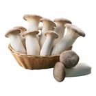 Organic Premium King Oyster Mushrooms 500g @22#4711618350048