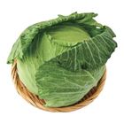 有機高麗菜 800g @22#4717546220033