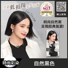 莉婕泡沫染髮劑 自然黑色 1 入 #4710363709224