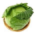 高麗菜(每粒約 1kg±10%) 1 入 @22#2013660000004
