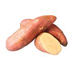 履歷紅心地瓜1kg @22#4714150489535