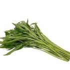空心菜(產銷履歷) 約 250g