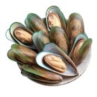 熟凍全殼淡菜 500g @21 #9421021120002