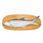 Fei Yang Traceable Gutted Threadfin Fish 250-300g/Fish