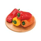 履歷迷你水果彩椒 300g/盒 @22#2422021063051