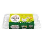 心樸平飼動福白殼蛋 (10 入) 600g