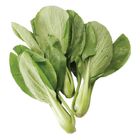 履歷青江菜(每袋約 250g±10%) 1 袋 @22#4713170892134