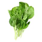 Organic Black Leaf Cabbage (Approx. 250g±10% Per Bag) 1 Bag @22#2422000529011