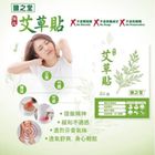 健之堂 艾草貼-強效 2 入 #173255