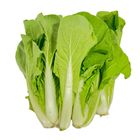 蚵白菜-常溫 600-700g