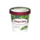 HaagenDazs哈根達斯 抹茶品脫杯 1Bucket桶 x 473ml @15#0074570703555