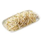 善美的有機綠豆芽 約 180g