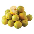履歷柳丁 每袋約 600g±10% @22#4713327369106