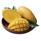 履歷金煌芒果-PDC 600g/盒 @22#2422150015013