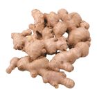 Traceable Old Ginger 300g @22#2422030145014