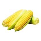 甜玉米 (產銷履歷) (非基因改造) 400g