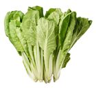 履歷小白菜 每袋約 250g±10% @22#4713170892127