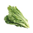 茼蒿 200g