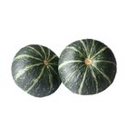 高山栗南瓜每粒約 800g @22#2422021535039