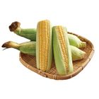履歷玉米(每盒約 380g) 2 入 @22#4713014440118