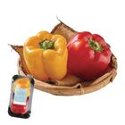U-jing Resume Bell Peppers (Approximately 300g Per Box) 1 Box @22#4711281491048