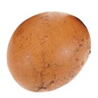 (F)315240 Assam Black Tea Egg 60g #315240 #0000000315240