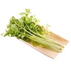 芹菜 每包約 250g @22#2422031109015