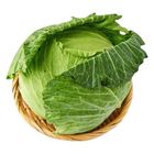 履歷高麗菜-PDC(顆) 1.2kg @22#4711378333473
