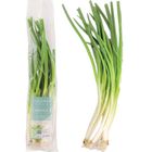 Excellent Green Scallions (About 200g Per Bag) 1 Bag @22#4711281490355